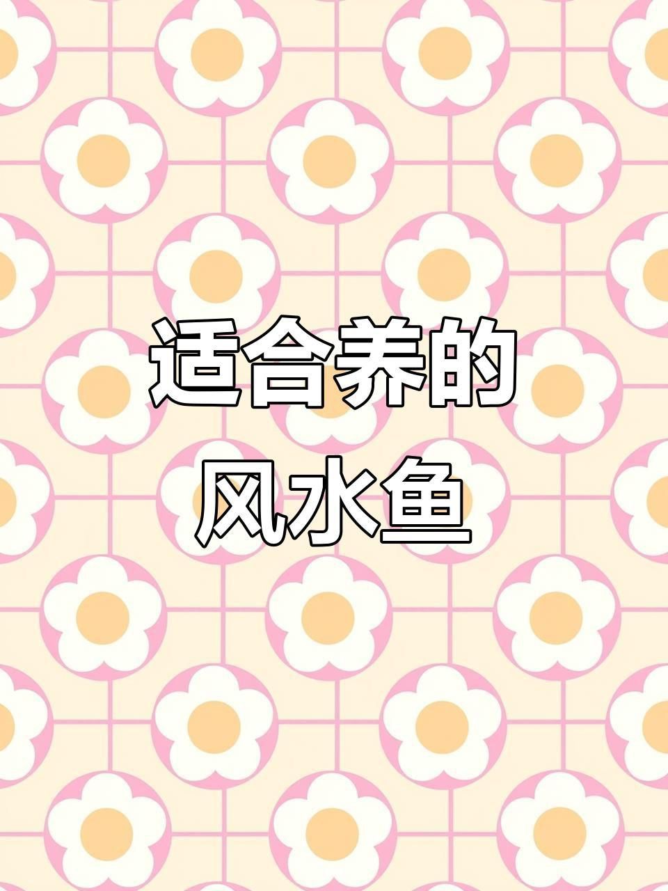 哪些風(fēng)水魚品種最適合初學(xué)者？ 哪些風(fēng)水魚品種最適合初學(xué)者？ 龍魚百科 第8張