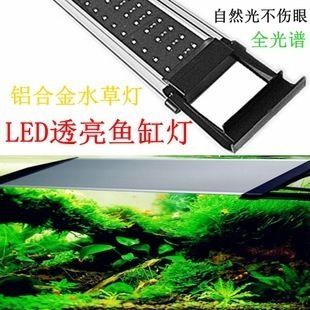 節(jié)能水族燈光源選擇指南：水族箱led燈品牌推薦