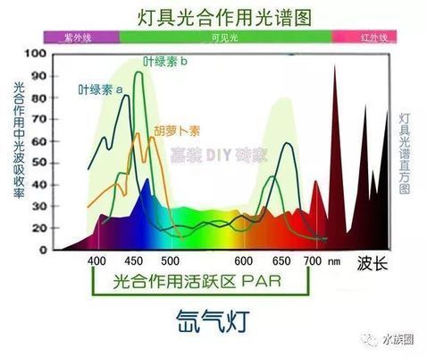 節(jié)能水族燈光源選擇指南：水族箱led燈品牌推薦