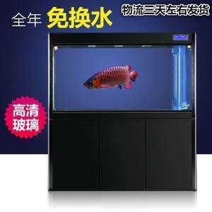 龍魚趴在缸底發(fā)呆是為什么：龍魚趴在缸底發(fā)呆是為什么龍魚趴在缸底發(fā)呆是為什么 龍魚趴在缸底發(fā)呆是為什么：龍魚趴在缸底發(fā)呆是為什么龍魚趴在缸底發(fā)呆是為什么 龍魚百科 第2張