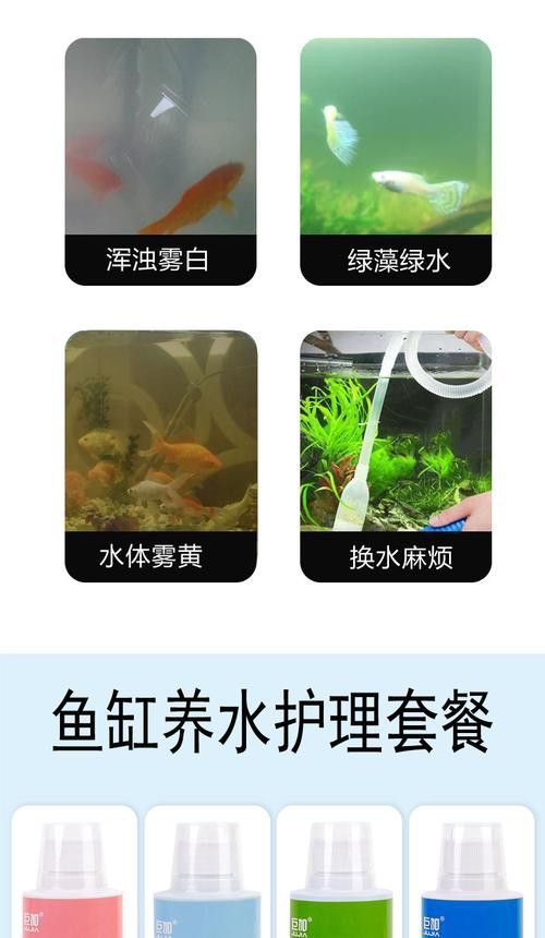 有哪些清潔劑適合魚化龍擺件？ 有哪些清潔劑適合魚化龍擺件？ 龍魚百科 第4張