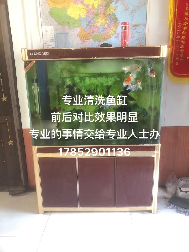 有哪些清潔劑適合魚化龍擺件？ 有哪些清潔劑適合魚化龍擺件？ 龍魚百科 第3張