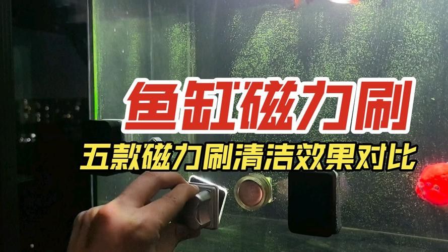 有哪些清潔劑適合魚化龍擺件？ 有哪些清潔劑適合魚化龍擺件？ 龍魚百科 第2張