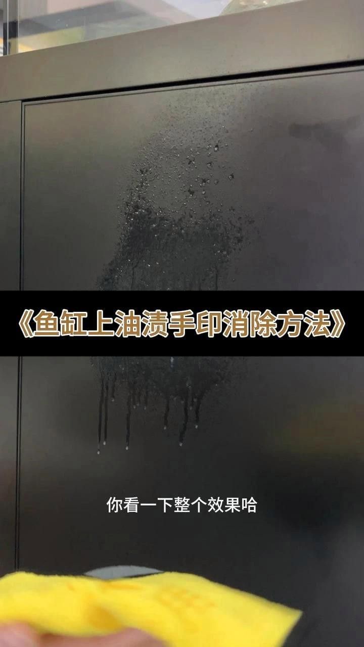有哪些清潔劑適合魚化龍擺件？ 有哪些清潔劑適合魚化龍擺件？ 龍魚百科 第9張