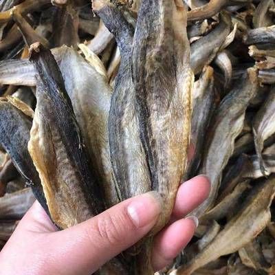 龍魚可以喂魚干嗎：龍魚可以喂食魚干嗎龍魚可以喂魚干嗎，龍魚可以喂魚干嗎