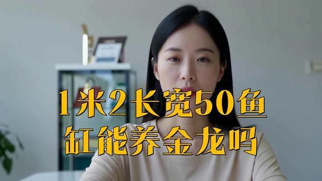 如何選擇適合古典金龍魚的魚缸？