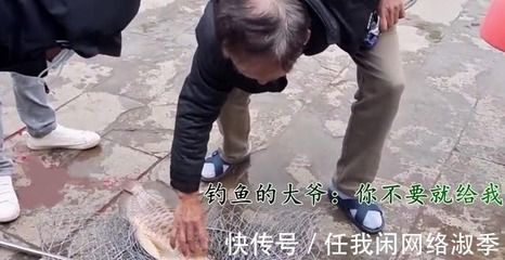 龍魚什么溫度會凍死（龍魚低溫下的護理方法）