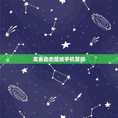 龍魚背景紙什么樣的好一點（龍魚背景紙定制服務推薦）