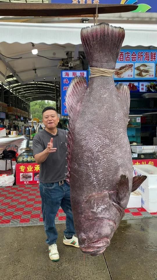 龍躉魚有哪些烹飪方法？
