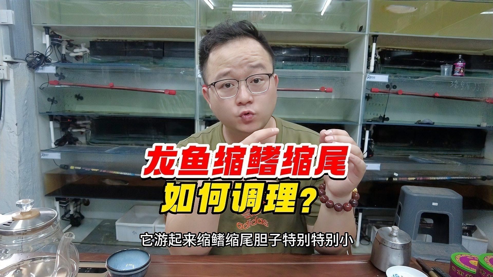 龍魚驚嚇怎么辦