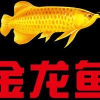 金龍魚江蘇生產基地在哪里