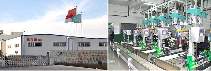 盤錦金龍魚豆油廠家地址 盤錦金龍魚豆油廠家地址 龍魚百科 第3張