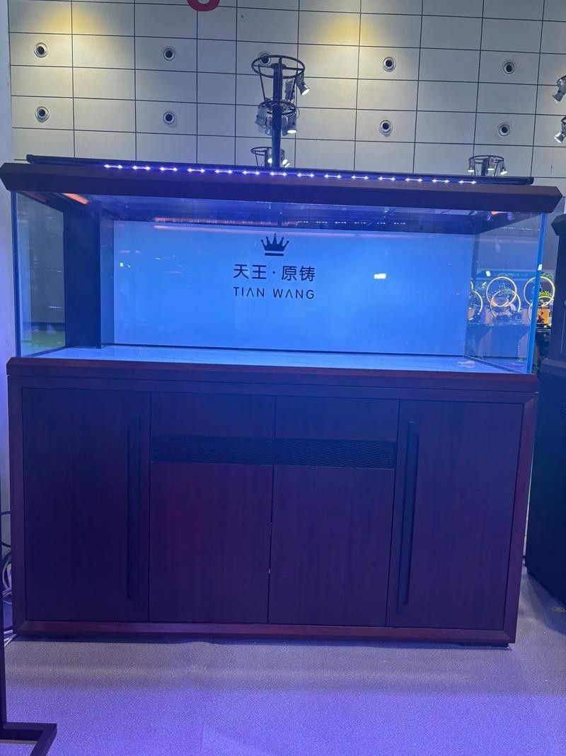 二手魚缸低價出售贈龍魚