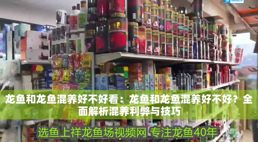 龍魚和龍魚混養好不好看：龍魚和龍魚混養好不好？全面解析混養利弊與技巧