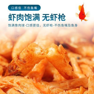 龍魚(yú)嘴前面有肉球：龍魚(yú)嘴前面出現(xiàn)肉球可能是由于肉瘤的形成