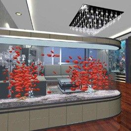 重慶龍魚缸定做廠家在哪里 重慶龍魚缸定做廠家在哪里 龍魚百科 第3張