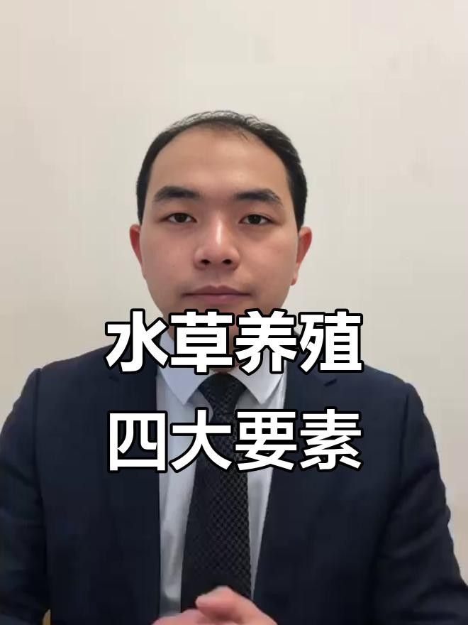 龍魚缸水草多久換一次
