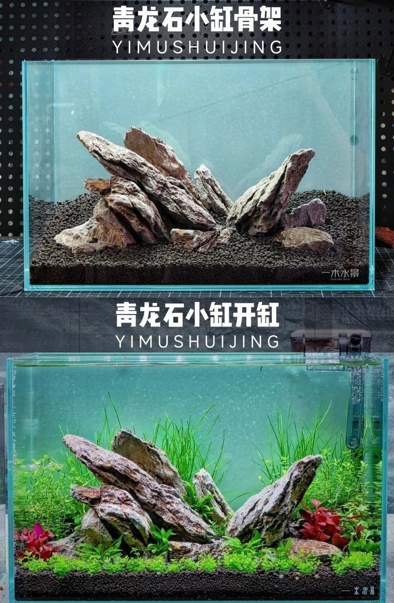 龍魚缸水草多久換一次