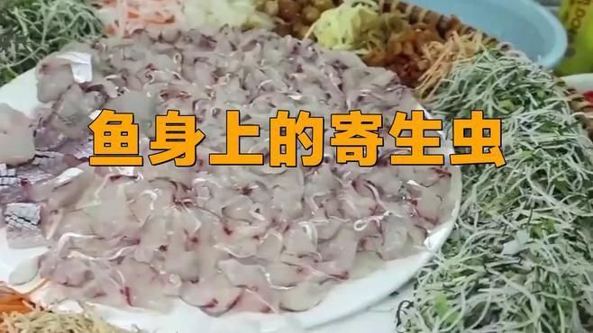 龍魚外寄生蟲有哪些種類？