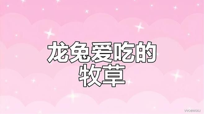 龍貓的食譜應該如何搭配？