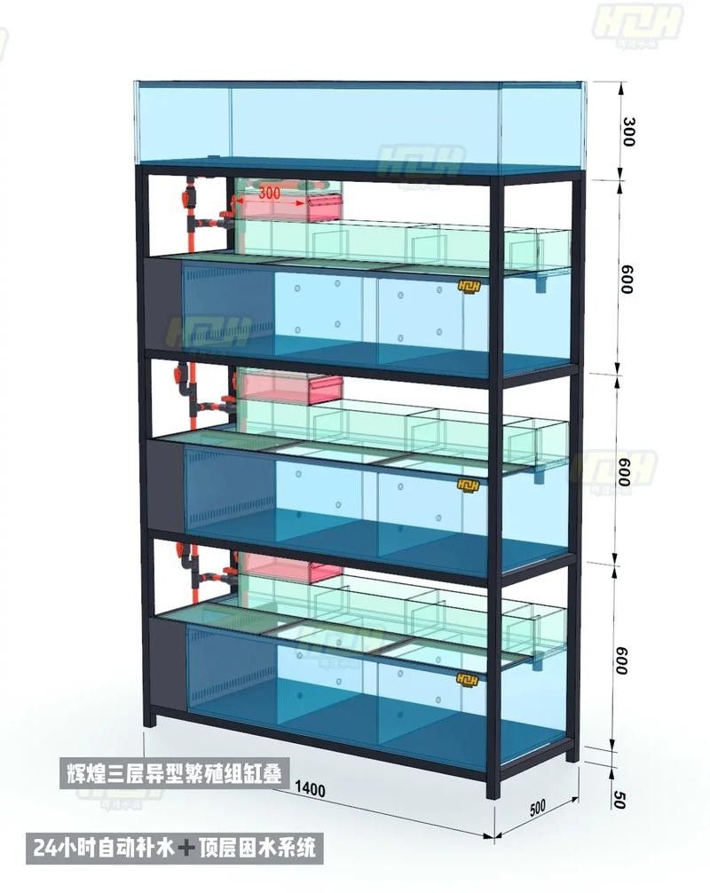 銀龍魚飼養(yǎng)方法及注意事項(xiàng)圖片