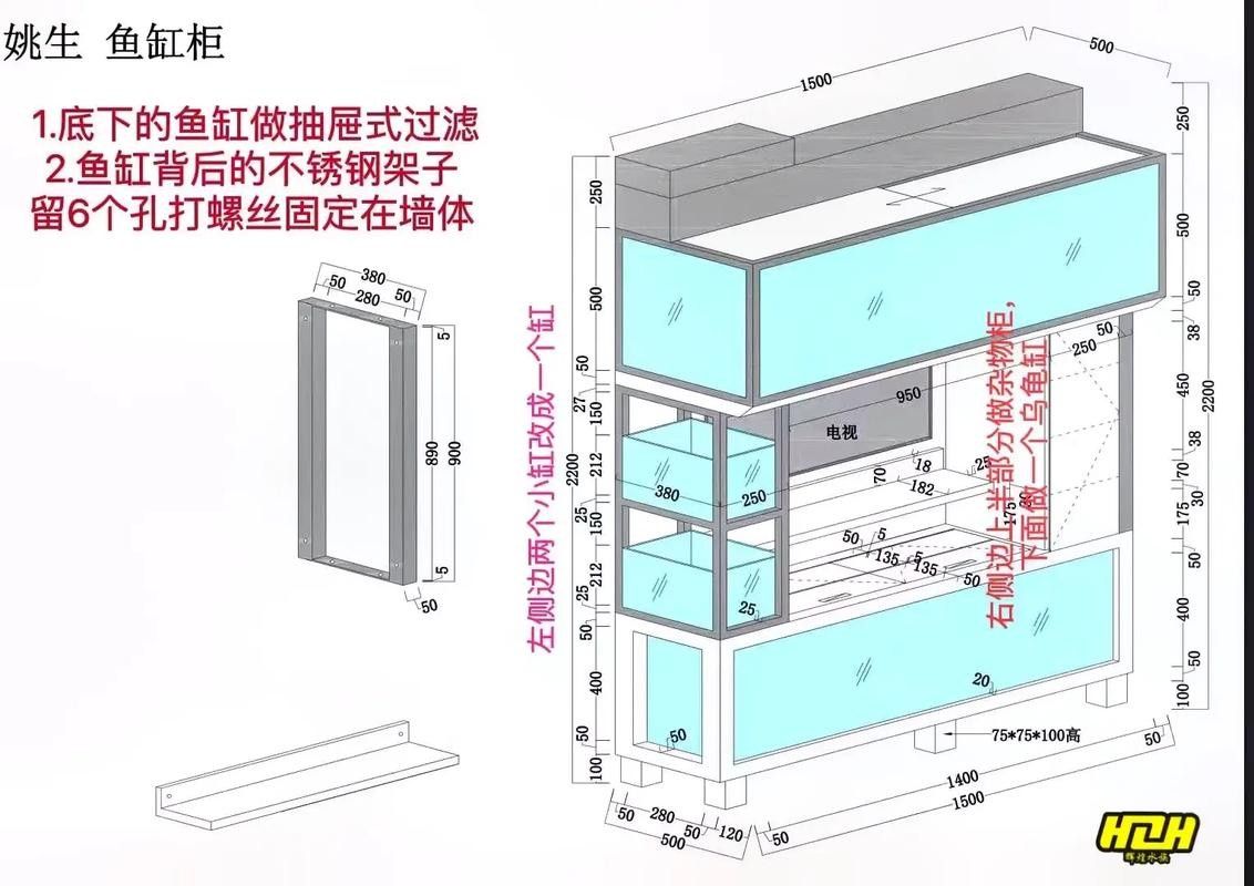 銀龍魚飼養(yǎng)方法及注意事項(xiàng)圖片