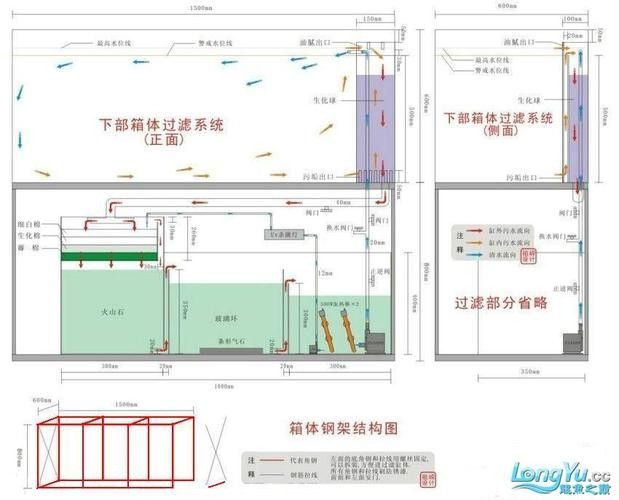 銀龍魚飼養(yǎng)方法及注意事項(xiàng)圖片