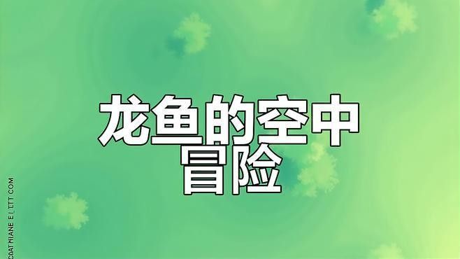龍魚怎么發空運貨物
