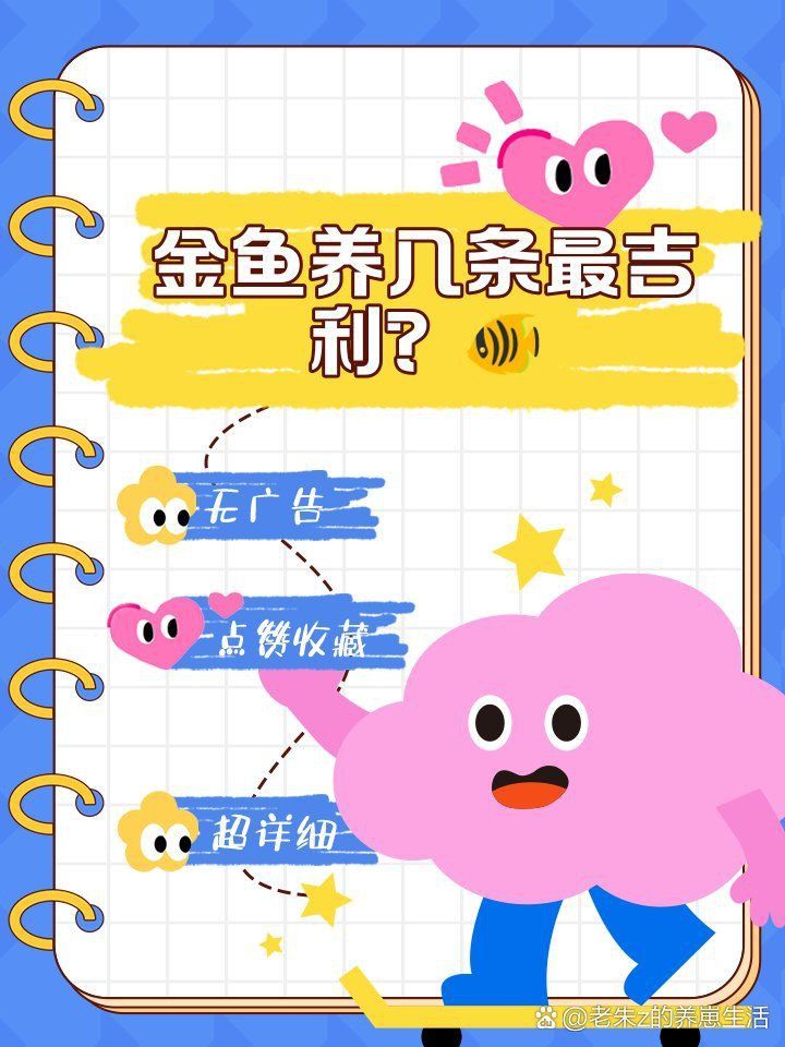 金魚養(yǎng)幾條最好最旺財 金魚養(yǎng)幾條最好最旺財 龍魚百科 第5張