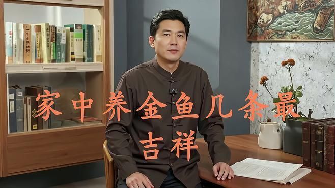 金魚養(yǎng)幾條最好最旺財 金魚養(yǎng)幾條最好最旺財 龍魚百科 第15張