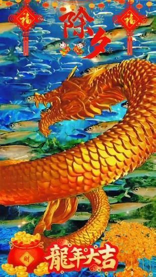 龍騰魚圖片