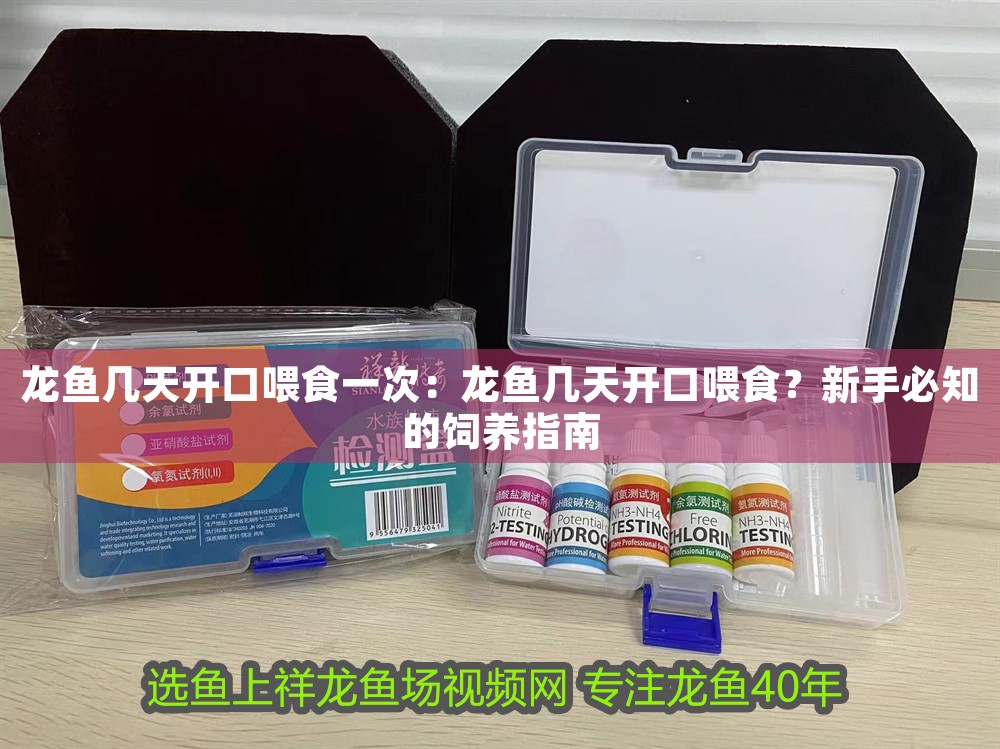 龍魚幾天開口喂食一次：龍魚幾天開口喂食？新手必知的飼養指南