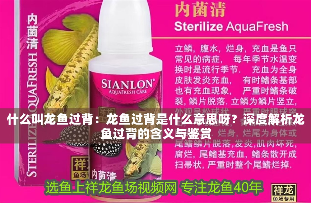什么叫龍魚過背:龍魚過背是什么意思呀?深度解析龍魚過背的含義與鑒賞 龍魚百科 第1張 什么叫龍魚過背:龍魚過背是什么意思呀?深度解析龍魚過背的含義與鑒賞 什么叫龍魚過背:龍魚過背是什么意思呀?深度解析龍魚過背的含義與鑒賞 龍魚百科 第1張