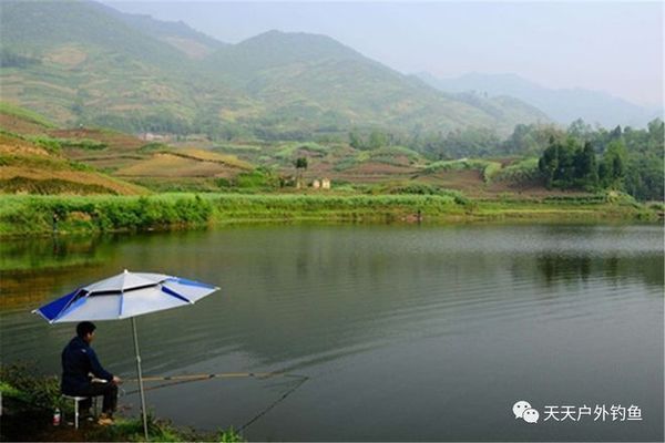 白龍魚白龍魚垂釣的最佳天氣因季節(jié)而異，適合夏季釣魚：白龍魚垂釣的最佳天氣 白龍魚白龍魚垂釣的最佳天氣因季節(jié)而異，適合夏季釣魚：白龍魚垂釣的最佳天氣 龍魚百科 第2張