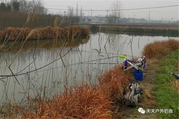 白龍魚白龍魚垂釣的最佳天氣因季節(jié)而異，適合夏季釣魚：白龍魚垂釣的最佳天氣 白龍魚白龍魚垂釣的最佳天氣因季節(jié)而異，適合夏季釣魚：白龍魚垂釣的最佳天氣 龍魚百科 第3張