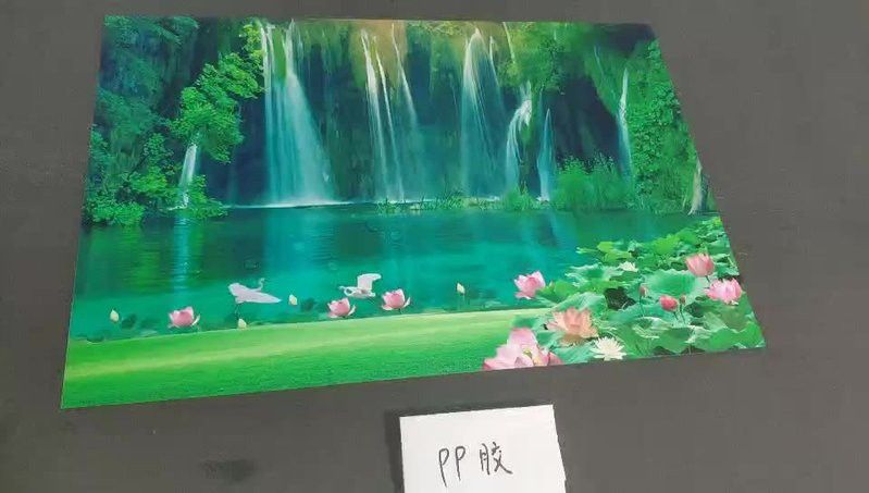金龍元素與哪些風格最搭配？
