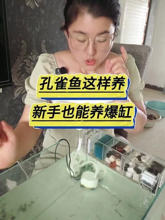 孔雀魚怎么樣養