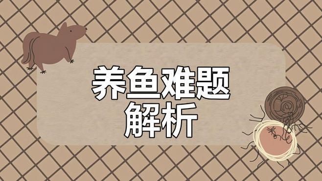 孔雀魚怎么樣養