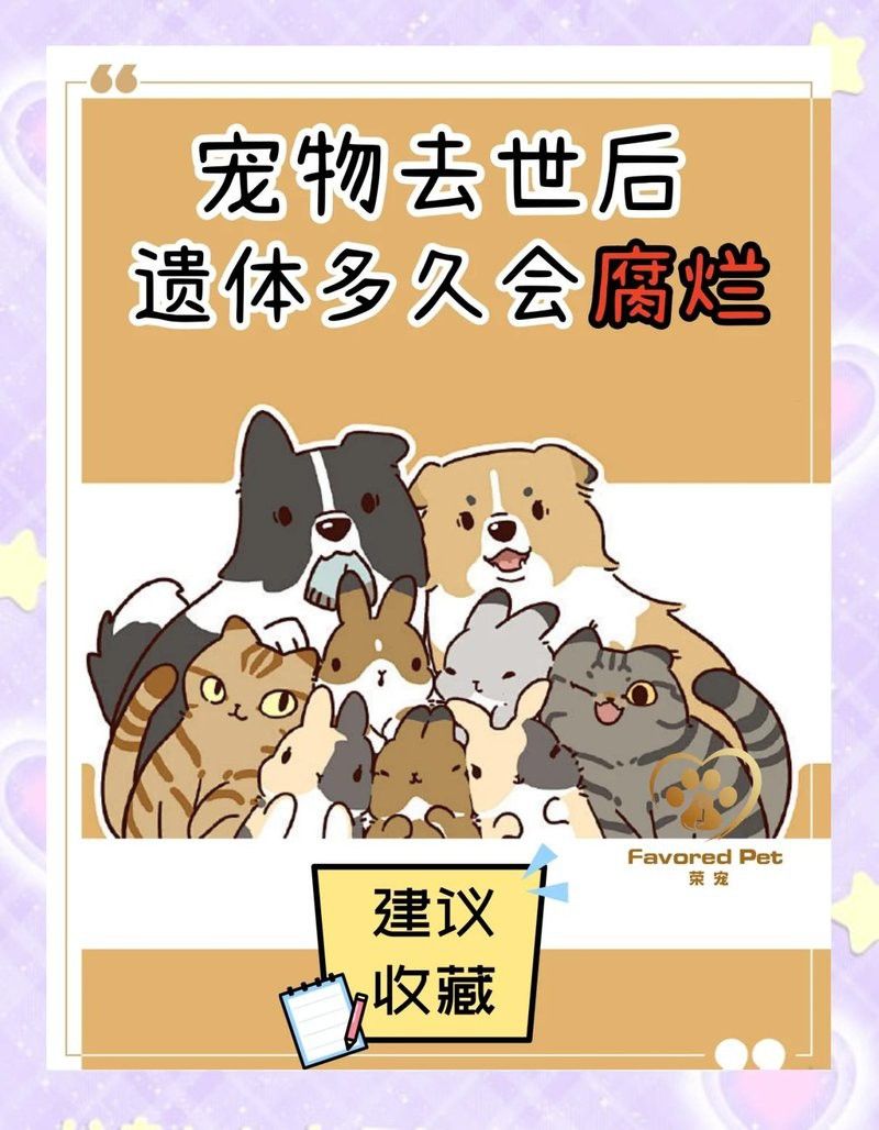 六角龍死亡后多久會腐爛？