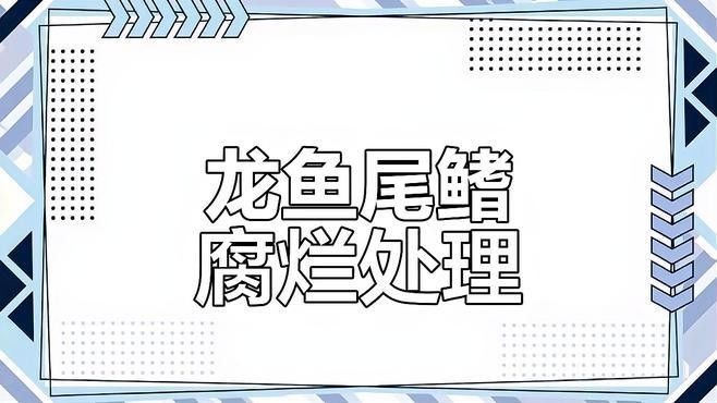 龍魚潰爛期間多久換一次水？