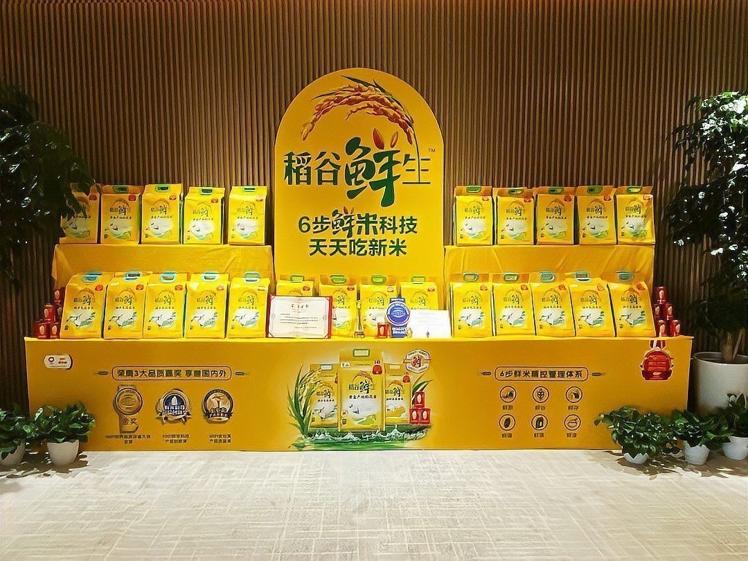金龍魚官方提供哪些類型的廣告文案？