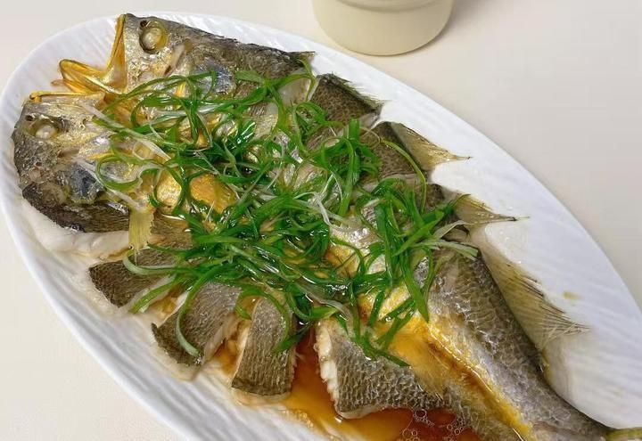 馬拉莫魚和鱸魚哪個好