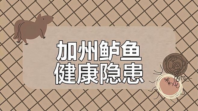 如何判斷魚鰓蓋爛了的嚴重程度？