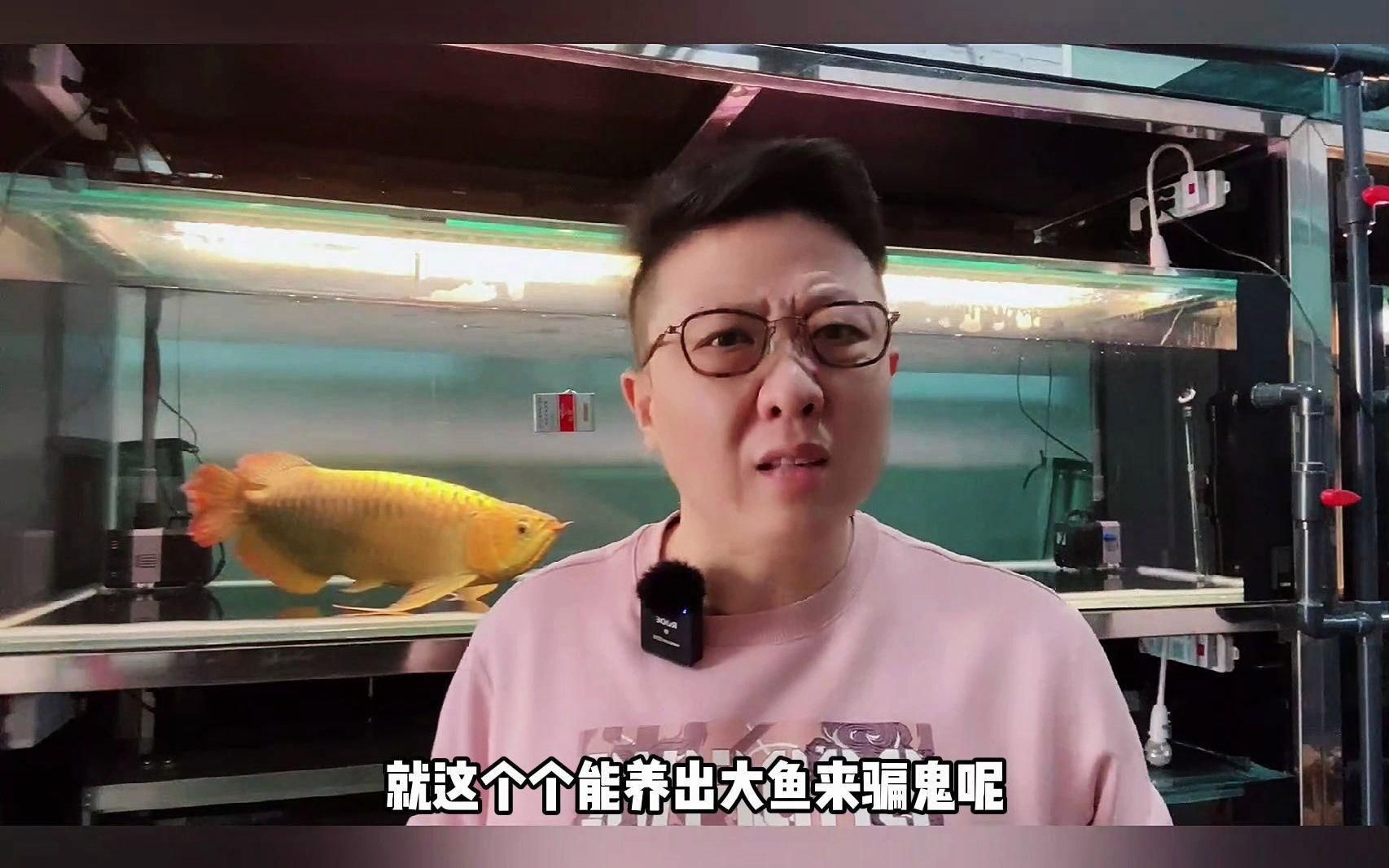 龍魚養(yǎng)不大什么原因 龍魚養(yǎng)不大什么原因 龍魚百科 第1張