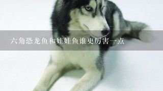家里養六角恐龍魚好不好（六角恐龍魚與其他魚混養技巧，）