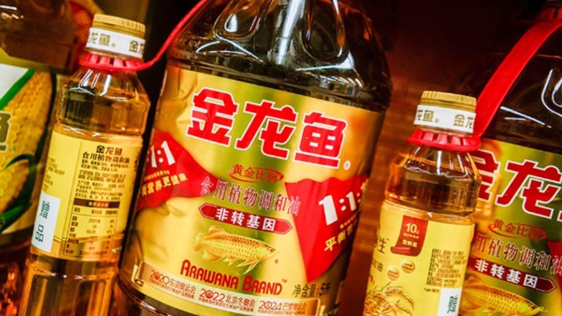 過(guò)背金龍吃什么飼料最好？ 過(guò)背金龍吃什么飼料最好？ 龍魚(yú)百科 第1張