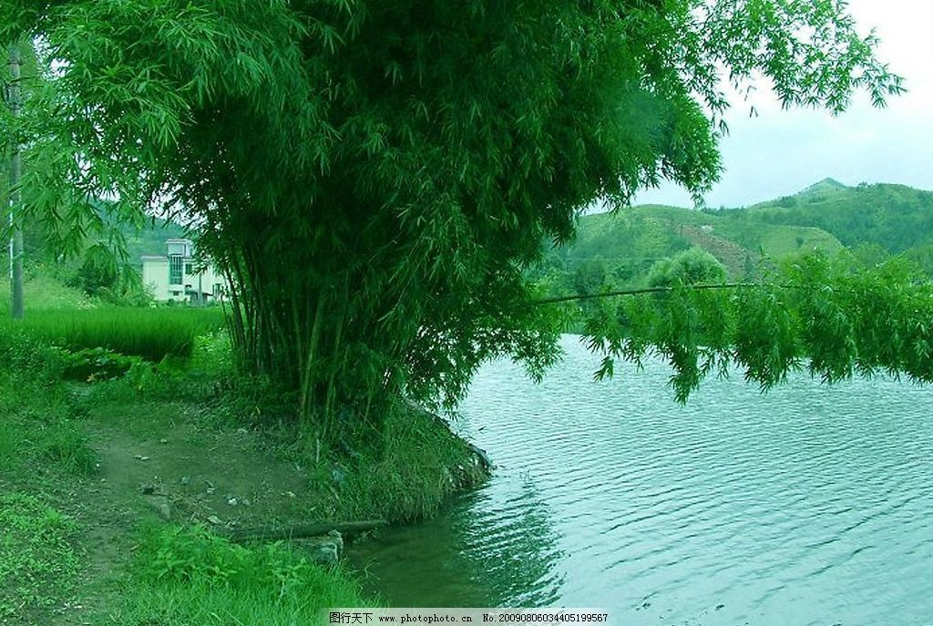 綠水對龍魚的影響有哪些，綠水對龍魚有哪些影響：綠水對龍魚的影響 綠水對龍魚的影響有哪些，綠水對龍魚有哪些影響：綠水對龍魚的影響 龍魚百科 第1張