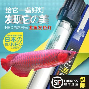 龍魚發色燈13000k和6700k（如何選擇龍魚發色燈）