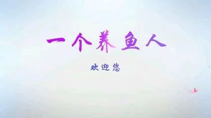 龍魚的作文300字三年級：小學三年級作文：我家的龍魚
