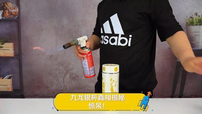 九龍銀杯的價格范圍是多少？ 九龍銀杯的價格范圍是多少？ 龍魚百科 第4張